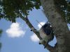 IMG_9583.JPG